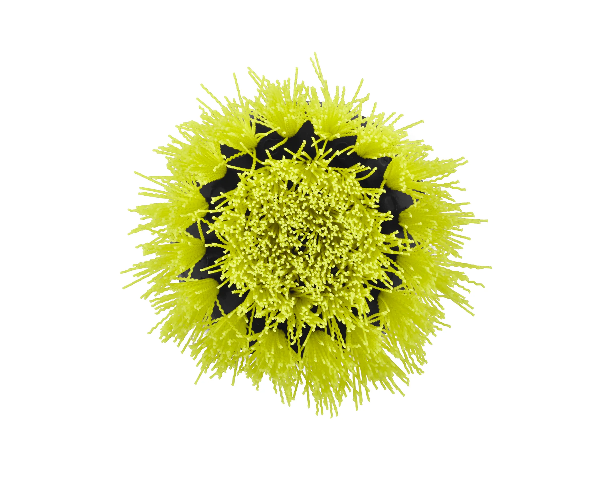 2 PC. MEDIUM BRISTLE BRUSH CLEANING ACCESSORY KIT - Image 5