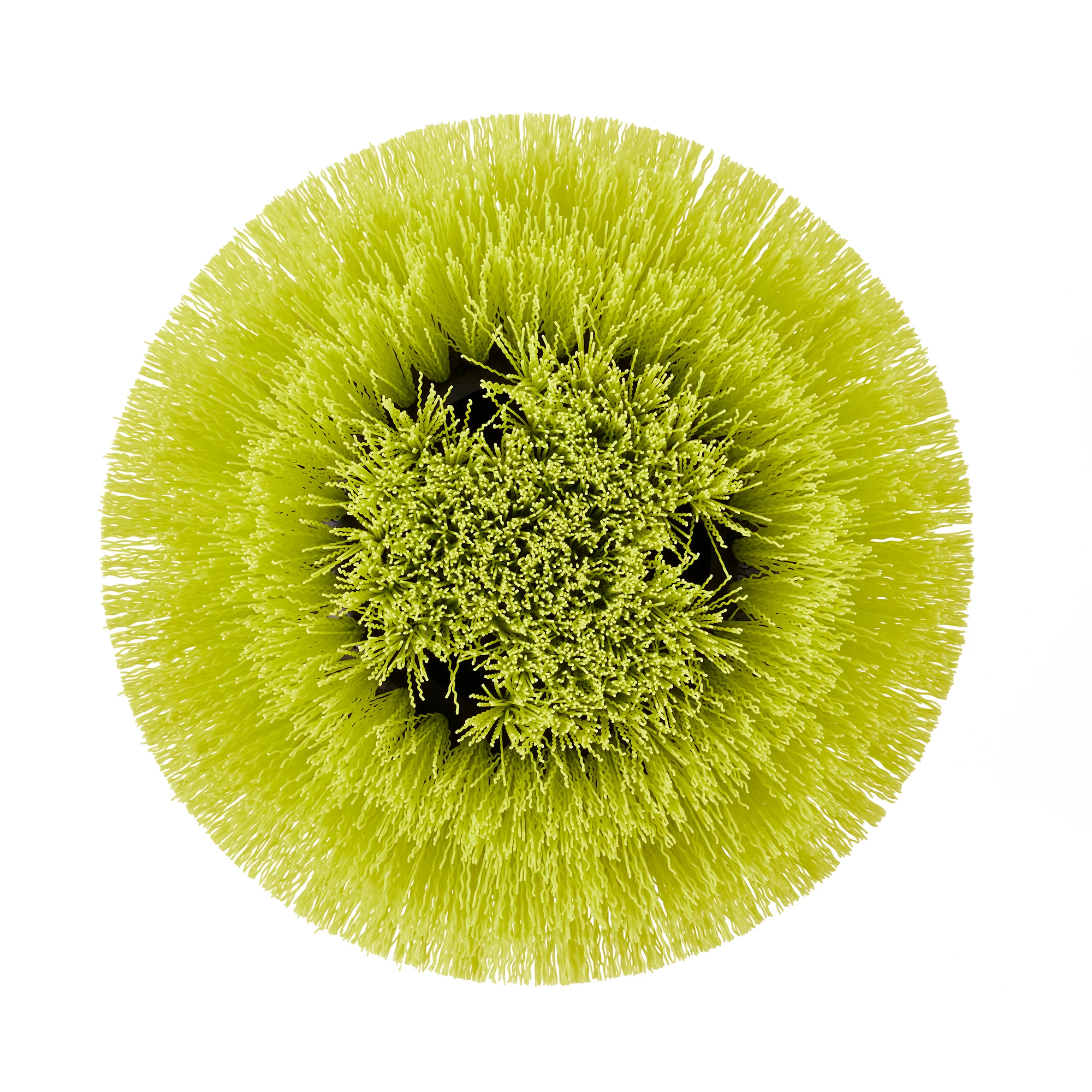 MEDIUM BRISTLE ROUND BRUSH - Image 7