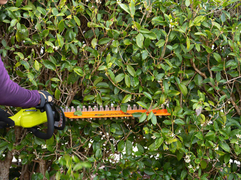 18V ONE+ 22" Lithium-Ion Electric Hedge Trimmer Cordless with 2.0 Ah Battery and Charger - Image 9